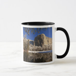 El Capitan spiegelt sich im Merced River in Tasse