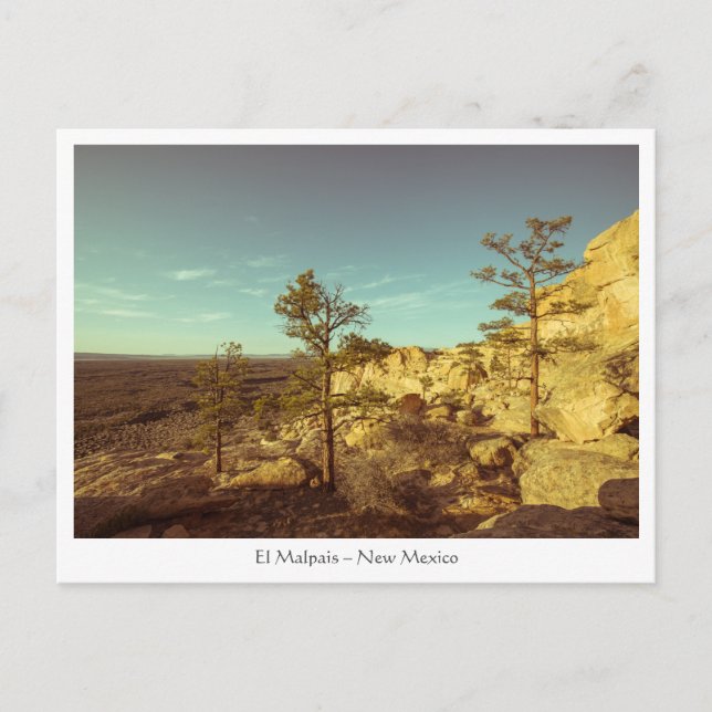 El Malpais - The Sandstone  Bluffs Postkarte (Vorderseite)