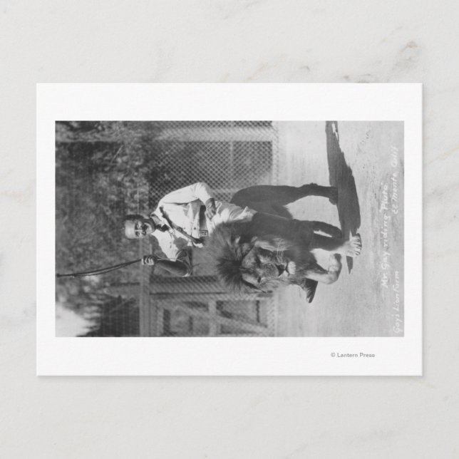 El Monte, CA Gays Löwenfarm - Herr Gay reitet Postkarte (Vorderseite)