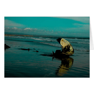 El Pabellon Beach, Baja Mexico