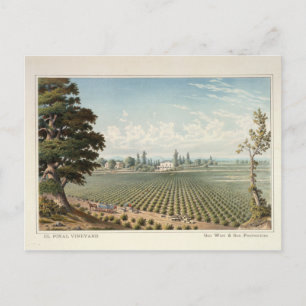 El Pinal Vineyard, Landkreis San Joaquin Postkarte