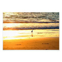 El Porto Manhattan Beach