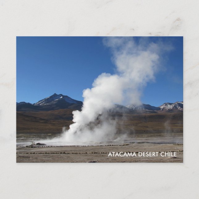 El Tatio Geyser, Atacama Wüste, Chile Postkarte (Vorderseite)