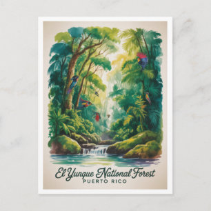 El Yunque National Forest Puerto Rico Postkarte