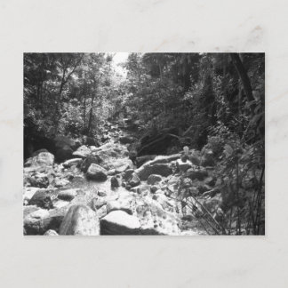 El Yunque National Rainforest Postkarte