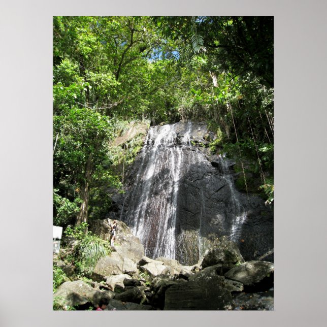 El Yunque Puerto Rico Gerahmtes Foto Poster (Vorne)