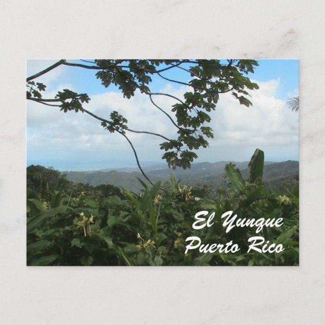 EL Yunque, Puerto Rico Postkarte (Vorderseite)