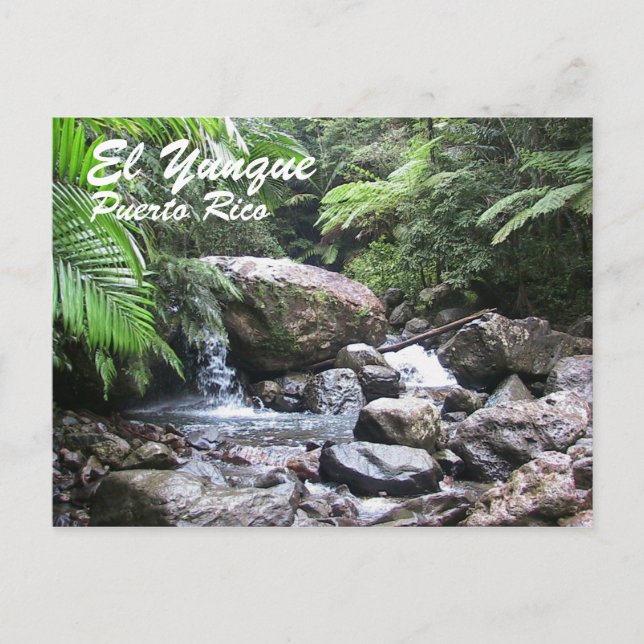 El Yunque, Puerto Rico Postkarte (Vorderseite)