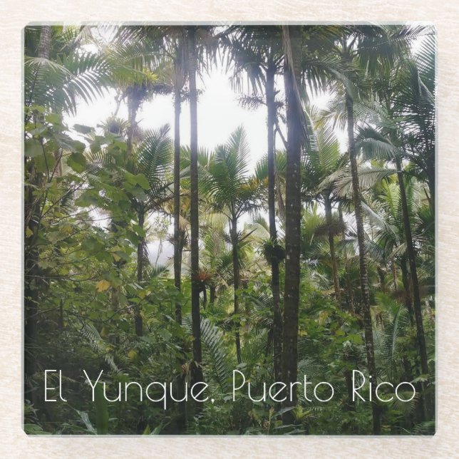 El Yunque, Puerto Rico Untersetzer (Vorderseite)