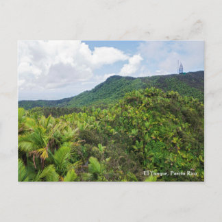 El Yunque Regenwald und Kommunikationsturm Post Postkarte