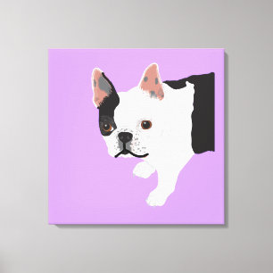Elaine Toby Boston Terrier Leinwanddruck
