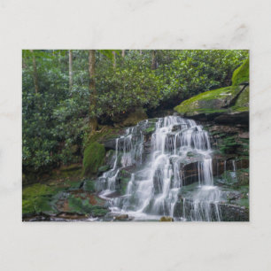 Elakala Falls #2, West Virginia Postkarte