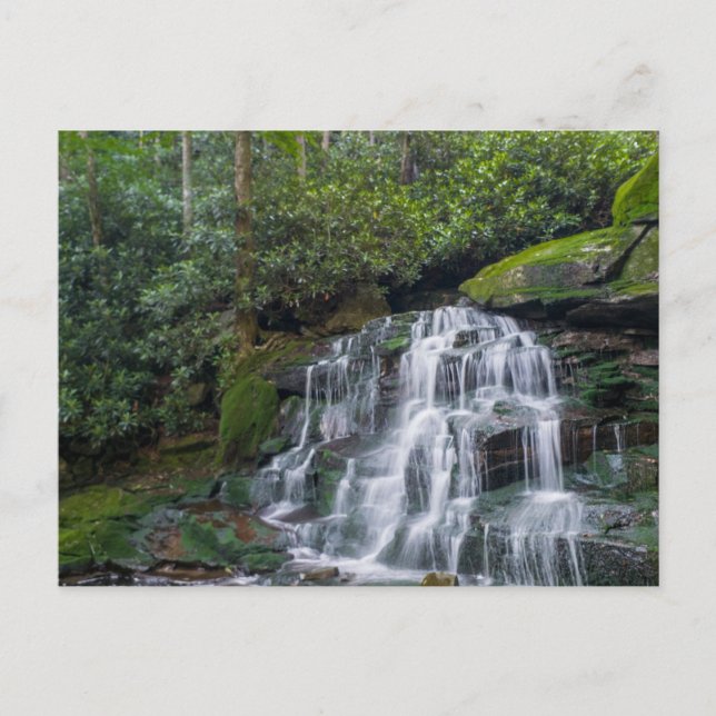 Elakala Falls #2, West Virginia Postkarte (Vorderseite)