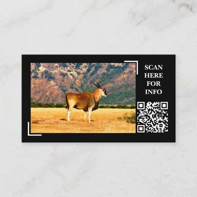 Eland Mountain Wildlife Fotografy Custom Visitenkarte (Vorderseite)
