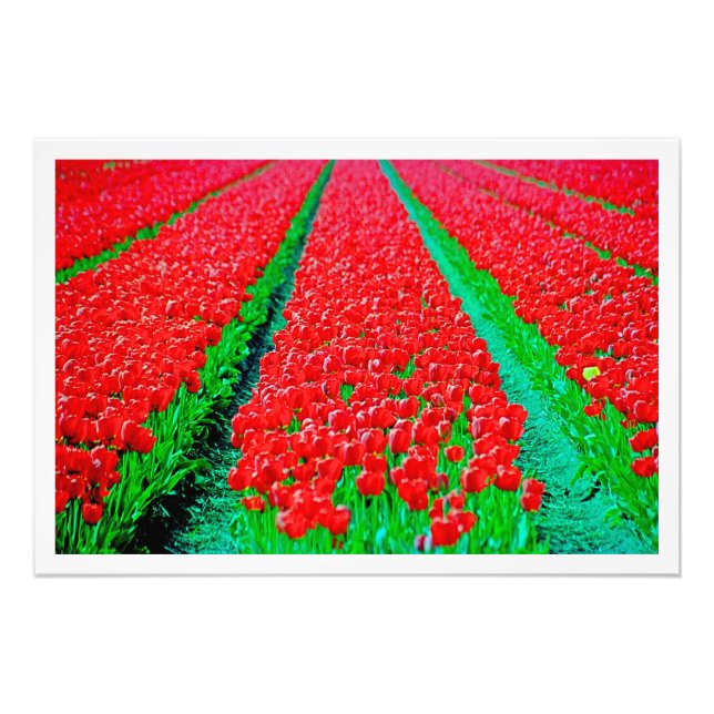 Élargissement de la photo (Devant)