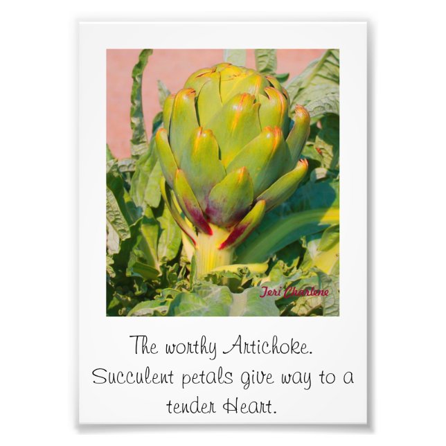 Élargissement de la photo (Devant)