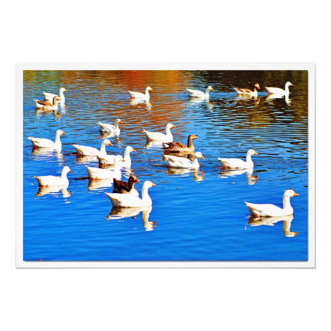 Élargissement de la photo (Devant)