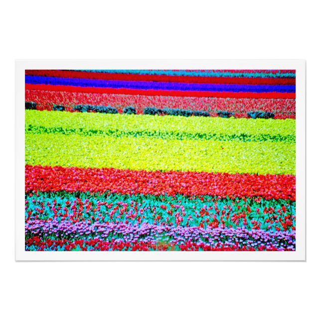 Élargissement de la photo (Devant)