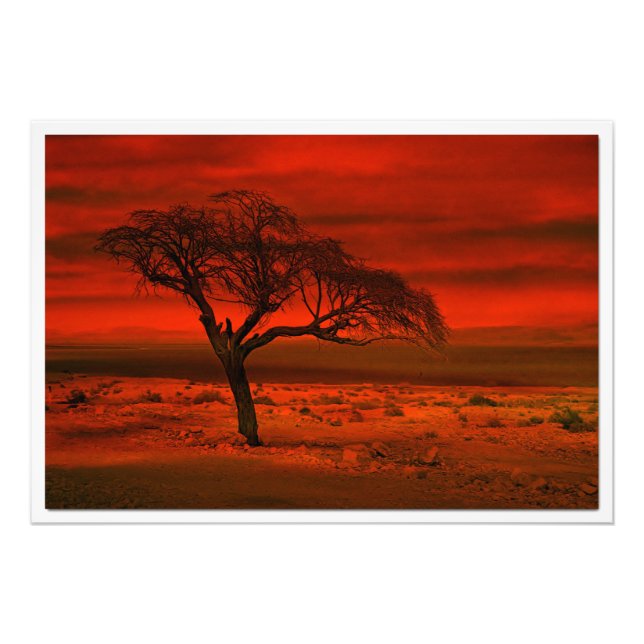 Élargissement de la photo (Devant)