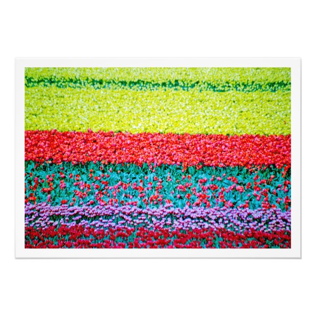 Élargissement de la photo (Devant)