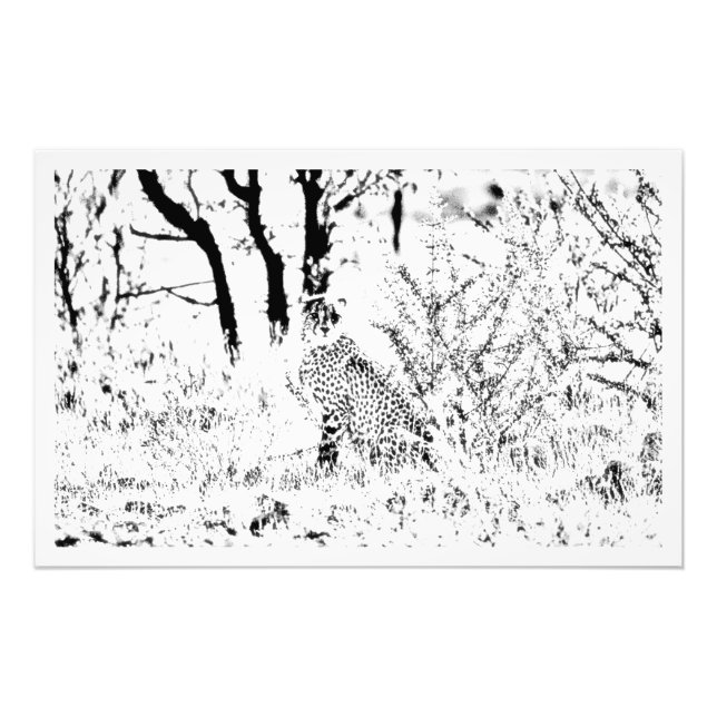 Élargissement de la photo (Devant)