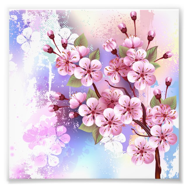 Élargissement de la photo (Devant)