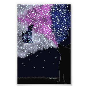 Élargissement de la photo