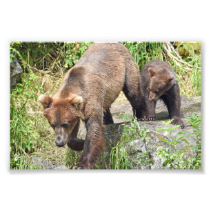 Élargissement de la photo