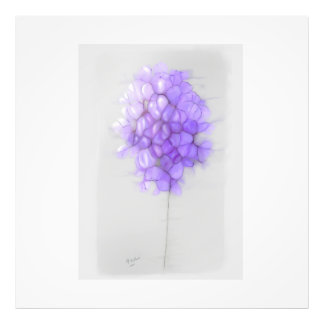 ÉLARGISSEMENT DE LA PHOTO FLEUVE