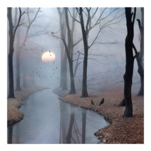 Élargissement de la photo Misty Morning