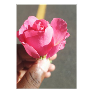 Élargissement de la photo rose