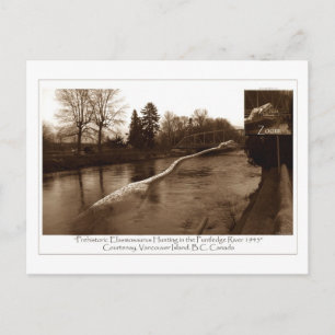 Elasmosaurus-Geschenke Postkarte