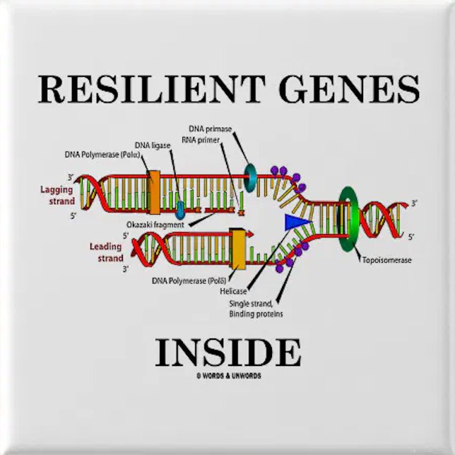 Elastisches Gen-Innere (DNS-Reproduktion) Button (Genetics attitude pinback button for any resilient person)