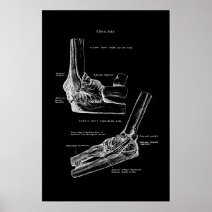 Elbow Joint Orthopädische Wanddekoration Poster