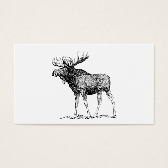 Elch (Vorderseite)