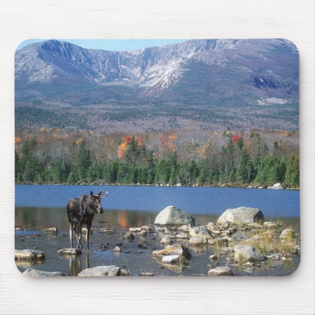 Elch-Auflage Mousepad (Vorne)