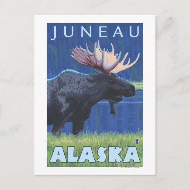Elch bei Nacht - Juneau, Alaska Postkarte (Vorderseite)