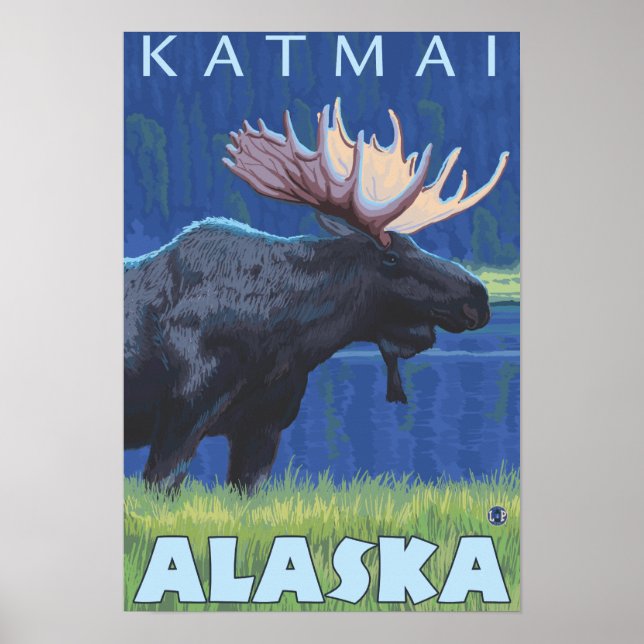Elch bei Nacht - Katmai, Alaska Poster (Vorne)