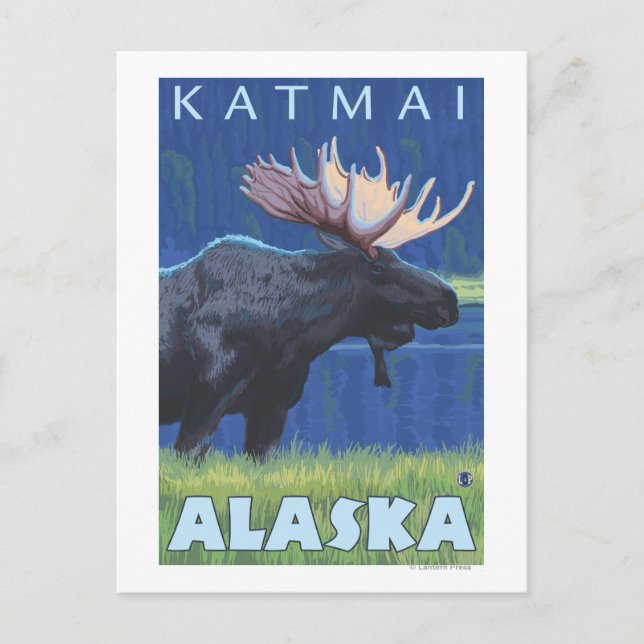 Elch bei Nacht - Katmai, Alaska Postkarte (Vorderseite)