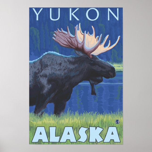 Elch bei Nacht - Yukon, Alaska Poster (Vorne)