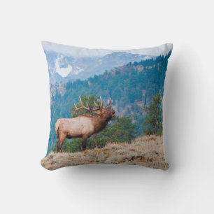 Elch (Cervus Elephus) Bull Röhren Kissen
