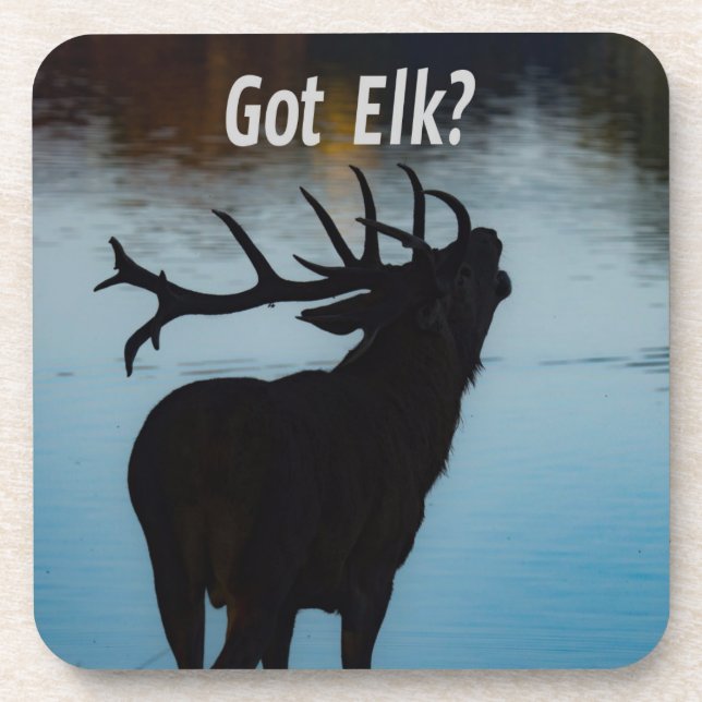 Elch got? Funny Hunter Spaß Getränkeuntersetzer (Vorderseite)