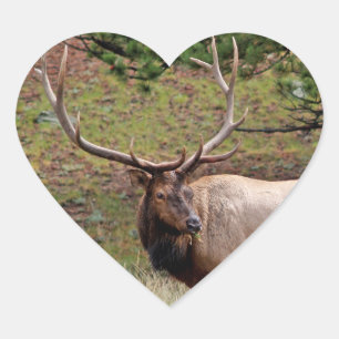Elch Heart Sticker