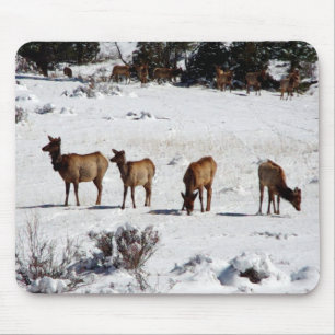 Elch im Schneemopad Mousepad