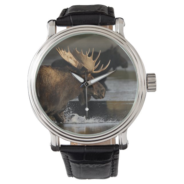 Elch im Wasser Armbanduhr (Vorderseite)