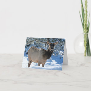 Elch in der Schneekarte Karte