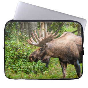 Elch   Kenai-Halbinsel, Alaska Laptopschutzhülle