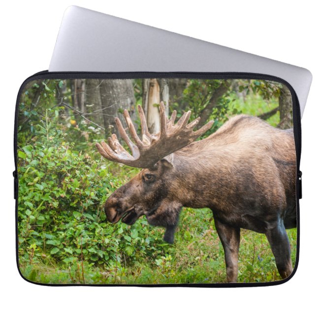 Elch | Kenai Halbinsel, Alaska Laptopschutzhülle (Vorderseite)
