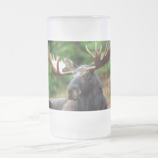 Elch Mattglas Bierglas (Mittel)