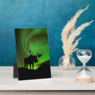 Elch mit grünem Polarlicht, Alaska Fotoplatte